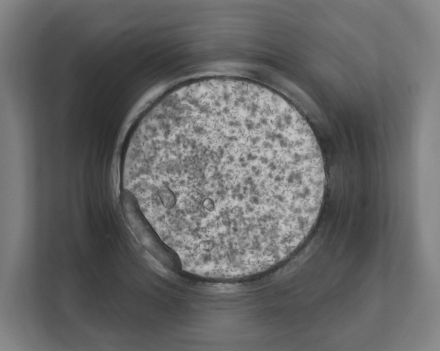 X0000111151180200908111128