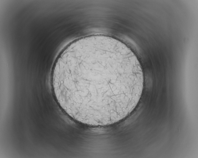 X0000111151182200908111128