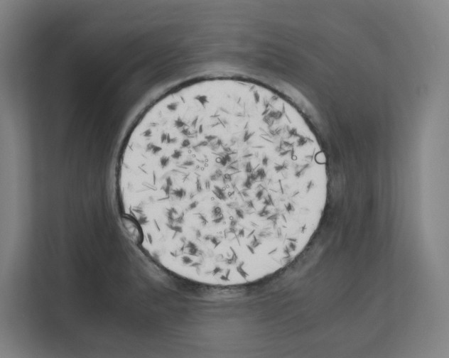 X0000111151183200908111128