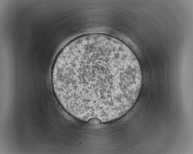 X0000111151184200908111128