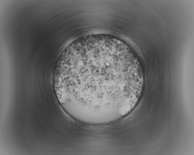 X0000111151185200908111128