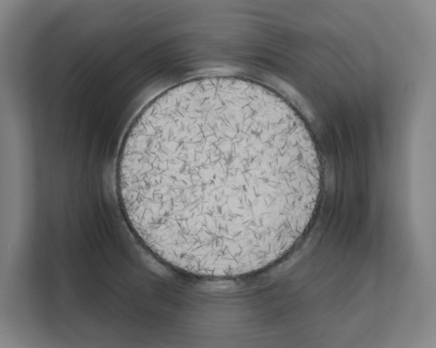 X0000111151186200908111128