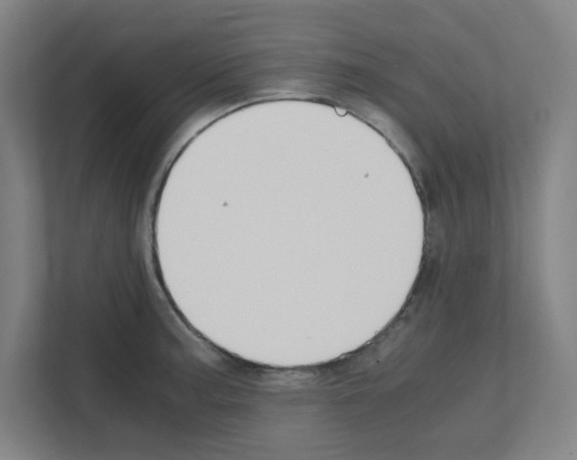 X0000111151187200908111128