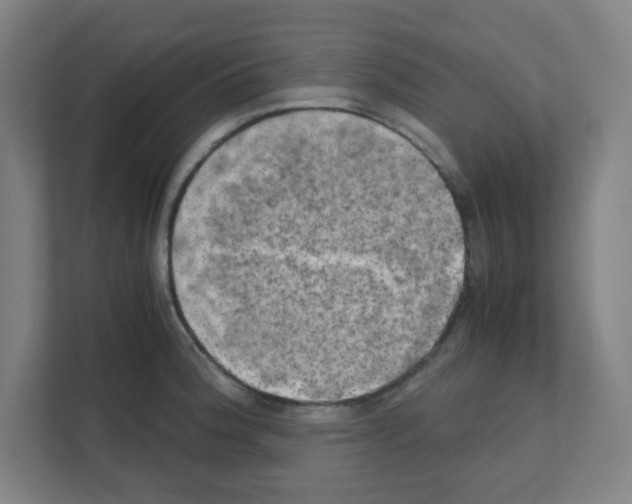 X0000111151188200908111128