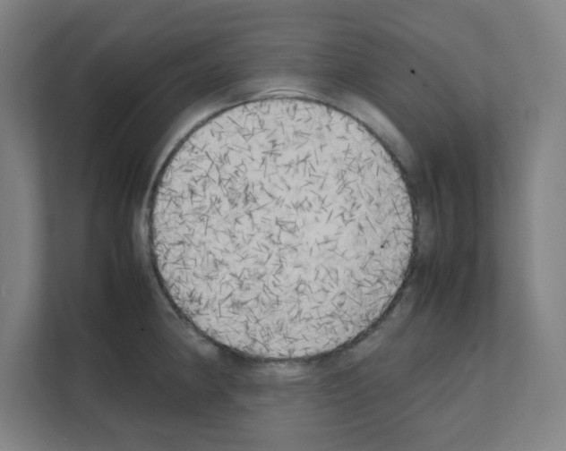 X0000111151190200908111128