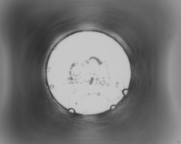 X0000111151191200908111128