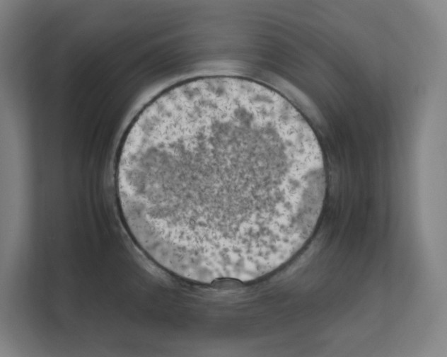 X0000111151192200908111128