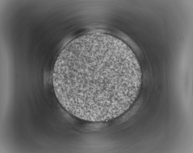 X0000111151193200908111128