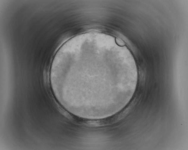 X0000111151194200908111128