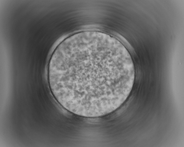 X0000111151196200908111128