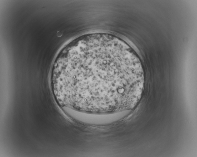 X0000111151197200908111127