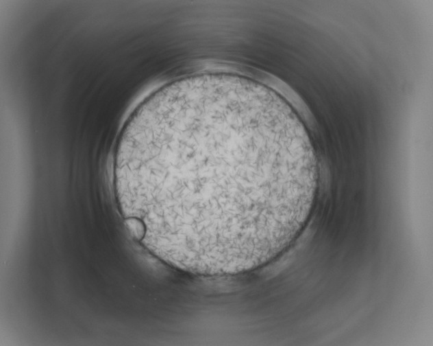 X0000111151198200908111127