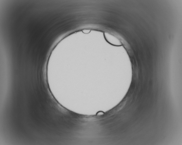 X0000111151199200908111127