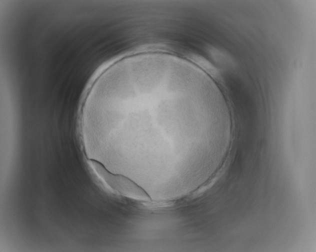 X0000111151200200908111127