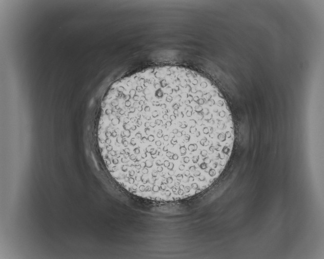 X0000111151201200908111127