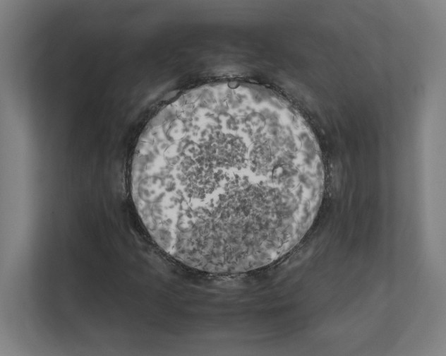 X0000111151205200908111127