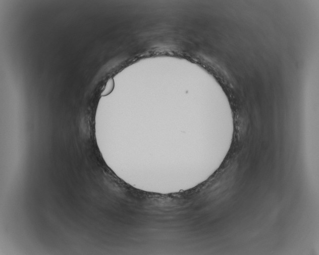 X0000111151207200908111127