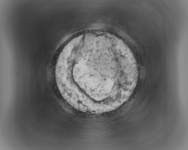 X0000111151208200908111127