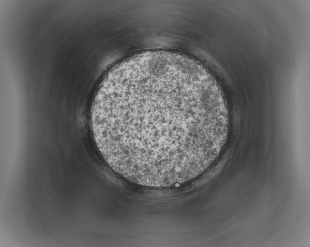 X0000111151210200908111127