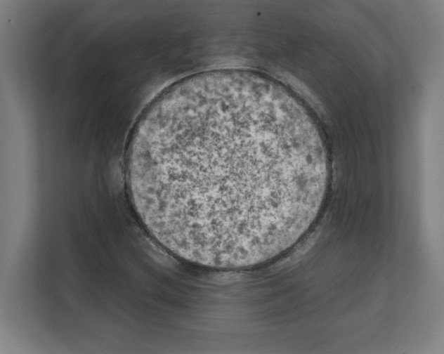 X0000111151212200908111127