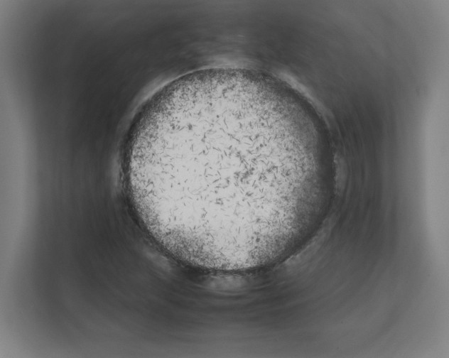 X0000111151215200908111127