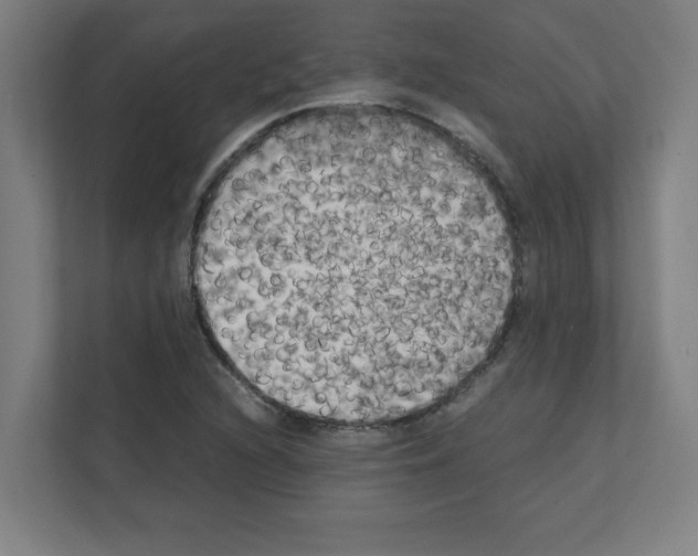 X0000111151216200908111127