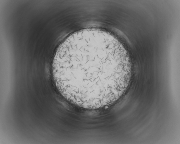 X0000111151217200908111127