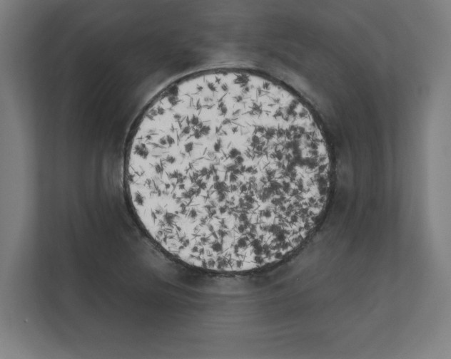 X0000111151220200908111127