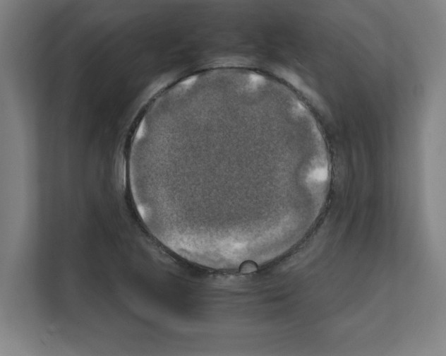 X0000111151221200908111127