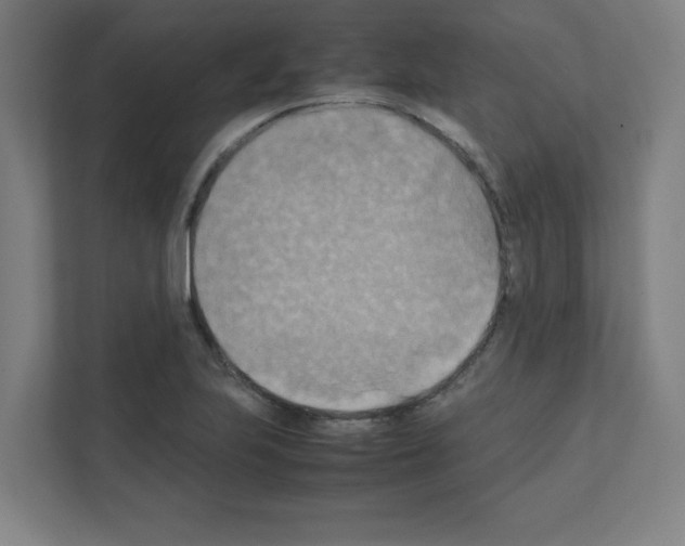 X0000111151223200908111127