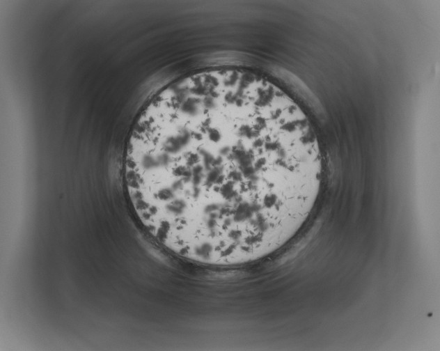 X0000111151225200908111127