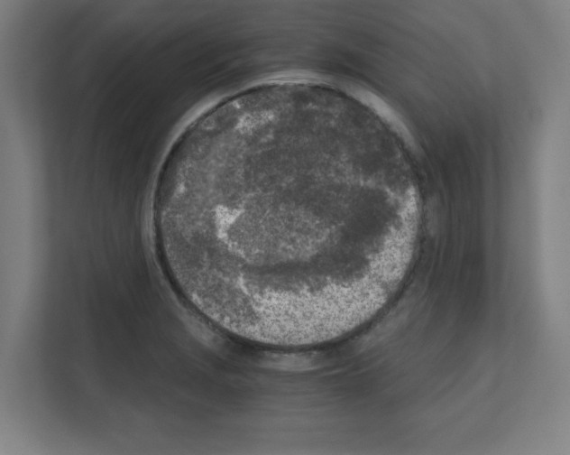 X0000111151229200908111127