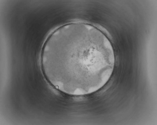 X0000111151231200908111127