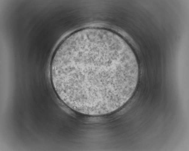 X0000111151232200908111127