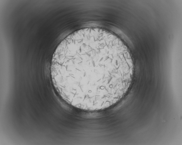 X0000111151233200908111127