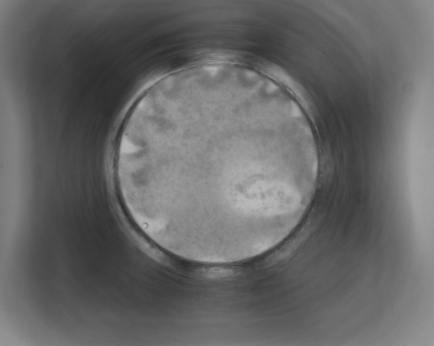 X0000111151235200908111127