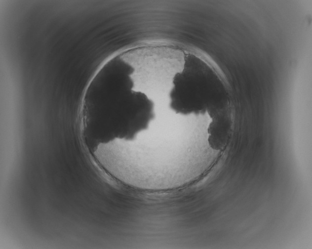 X0000111151236200908111127