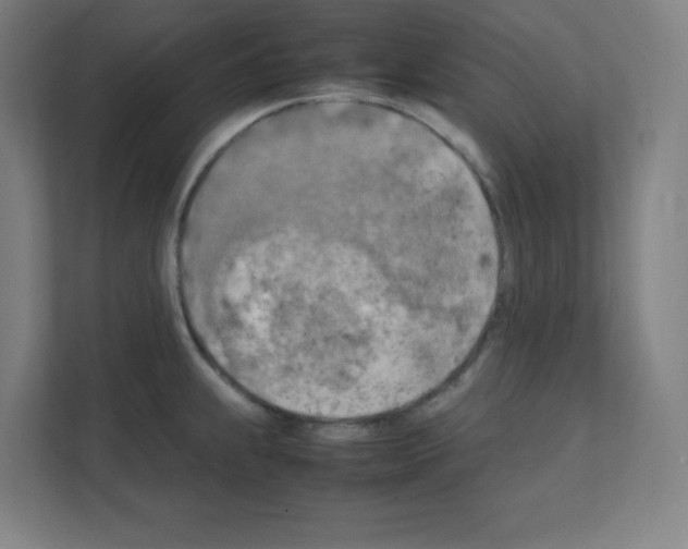 X0000111151239200908111127