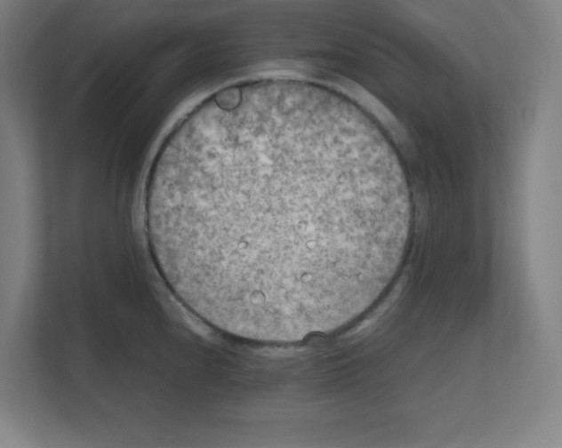 X0000111151240200908111127