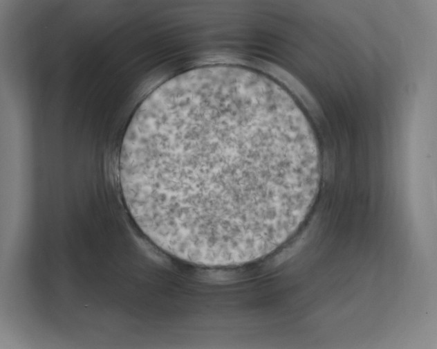 X0000111151241200908111127