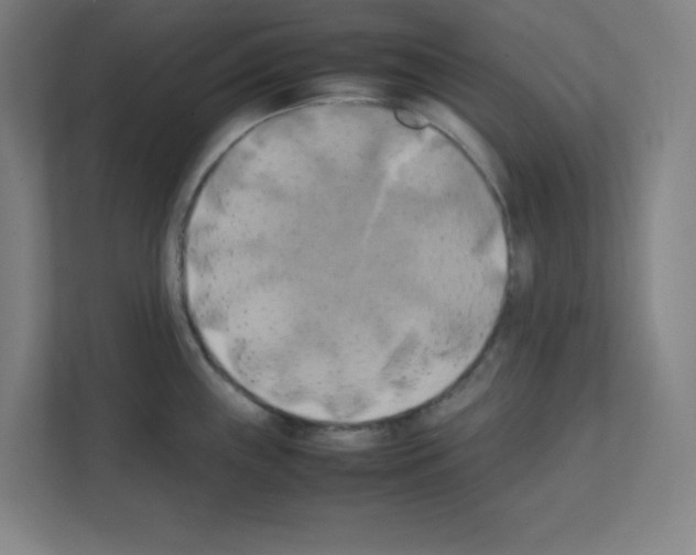 X0000111151243200908111127