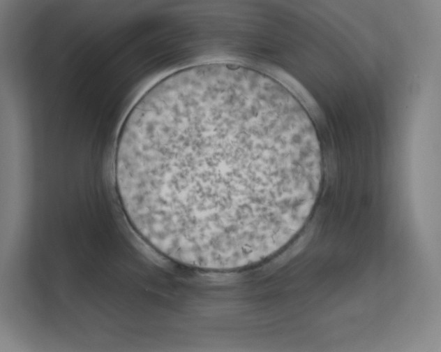 X0000111151244200908111127