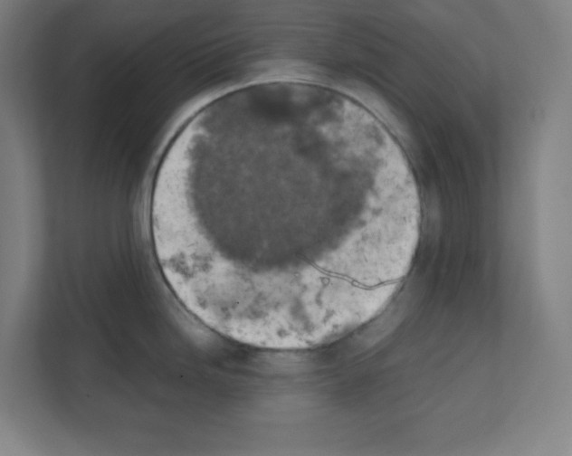 X0000111151246200908111127