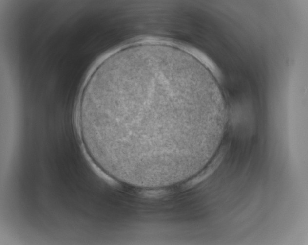 X0000111151247200908111127