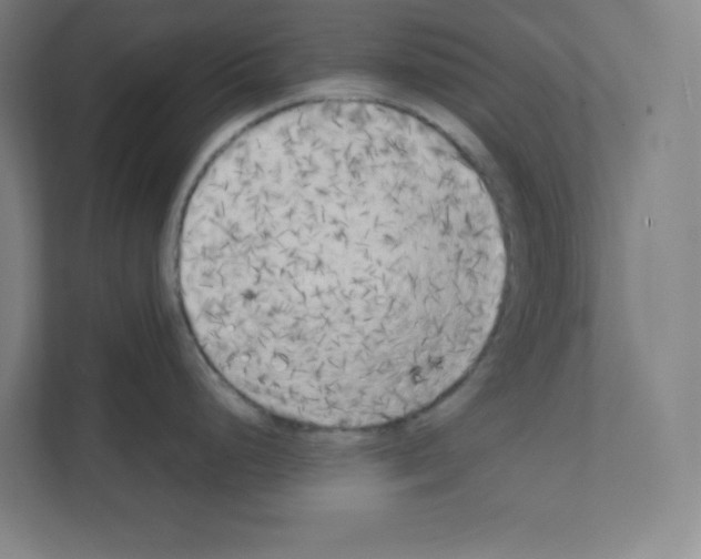 X0000111151248200908111127