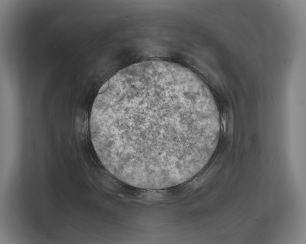 X0000111151251200908111127