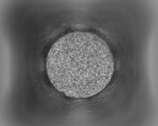 X0000111151253200908111127