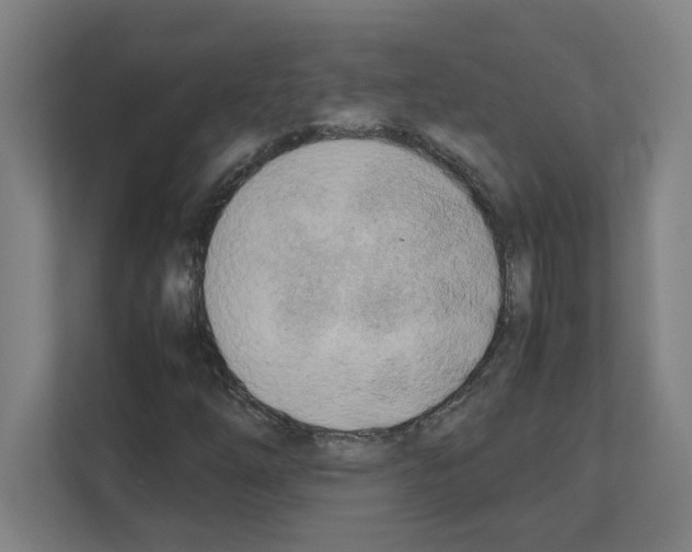 X0000111151254200908111127