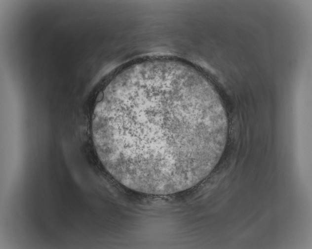 X0000111151255200908111127