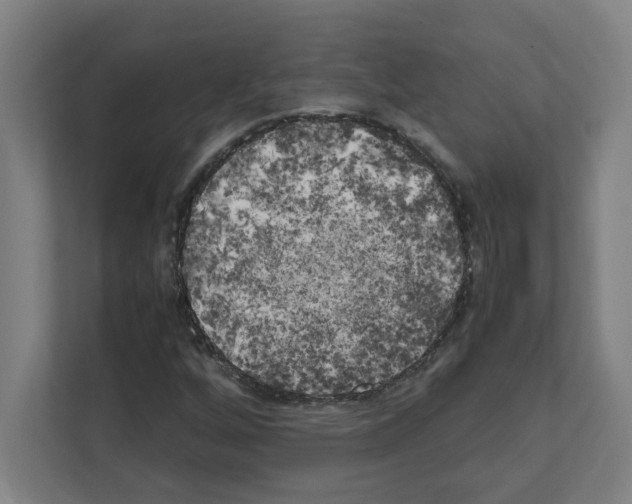 X0000111151256200908111127